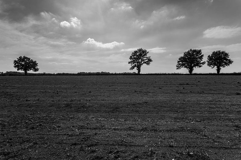 2018_09_29_bois de Chaume (0013).jpg - rando bois de Chaume (Septembre 2018)